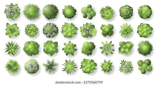 Trees top view. Different plants and trees vector set for architectural or landscape design. (View from above) Nature green spaces. Vector illustration.