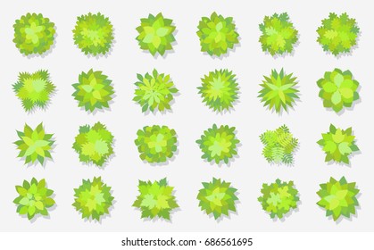 Trees top view. Different plants and trees vector set for architectural or landscape design. (View from above) Nature green spaces.