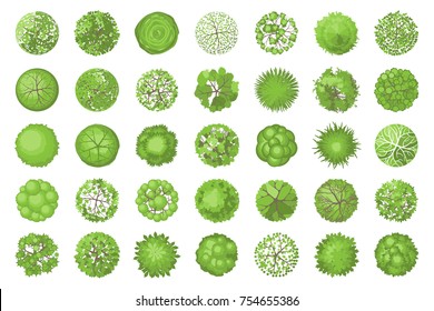Trees top view. Different plants and trees vector set for architectural or landscape design. (View from above) Nature green spaces.