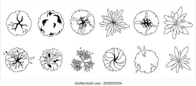 Vista superior de árboles. Diferentes plantas sin color y vectores arbóreos ambientados para el diseño arquitectónico y paisajístico. Gráfico, aislado en blanco. Ilustración vectorial. Elementos para proyectos de diseño. Espacios verdes.