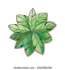 Trees top view. Different trees vector set for architectural or landscape design. View from above. Watercolor tree sketch.