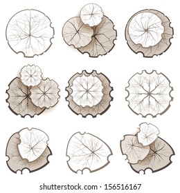 Trees - top view. Easy to use in your landscape design projects! 