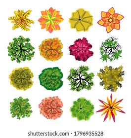 Trees top view. Easy to use in your landscape design projects. Set of images of plants of different varieties. Crowns of natural. Nature green spaces.