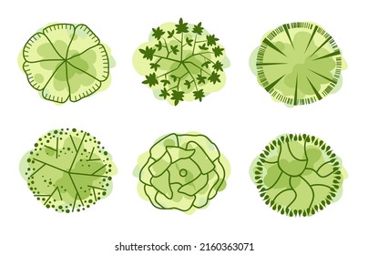 Trees top view. Entourage design. Various trees, bushes, and shrubs, top view for the landscape design plan. Vector illustration.