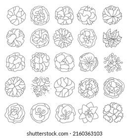 Trees top view. Entourage design. Various trees, bushes, and shrubs, top view for the landscape design plan. Vector illustration.