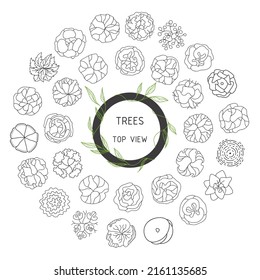 Trees top view. Entourage design. Various trees, bushes, and shrubs, top view for the landscape design plan. Vector illustration.