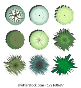 Trees Top View Landscape Design Stock Vector (Royalty Free) 172168697 ...