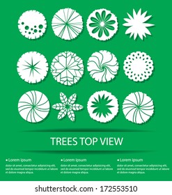 Trees top view for landscape design