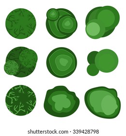 trees top view for landscape design. Vector illustration