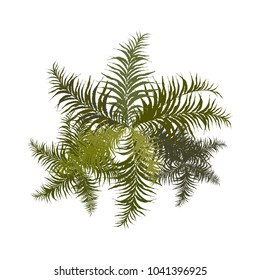 Trees top view for landscape vector illustration.