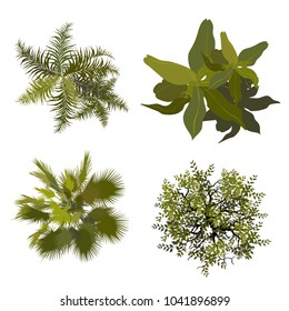 Trees top view for landscape vector illustration.