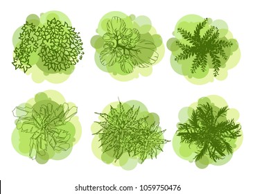 Trees top view for landscape vector illustration.