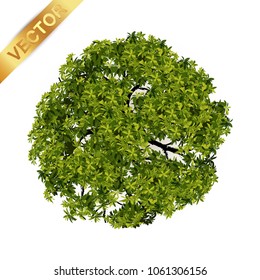 Trees top view for landscape vector illustration.