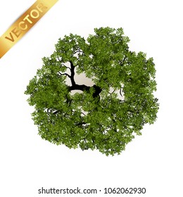 24,654 Vector tree plan Images, Stock Photos & Vectors | Shutterstock