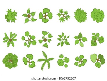 Trees top view for landscape vector illustration.