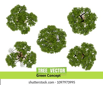 Trees top view for landscape vector illustration.