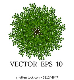 Trees top view for landscape vector illustration decorative branch silhouette and green leaves,design for map
