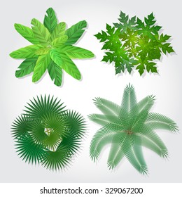 Trees top view for landscape - vector illustration