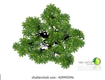 Trees top view for landscape vector illustration decorative branch silhouette and green leaves,design for map