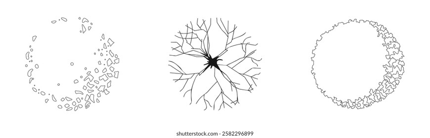 Trees, top view on a white background