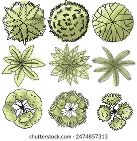 trees top view set 2