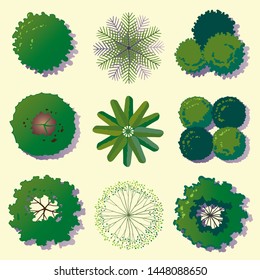 Trees top view set. Landscape architecture design projects. Vector illustration.