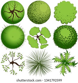 Trees top view set. Nine vector trees for architectural or landscape design. 