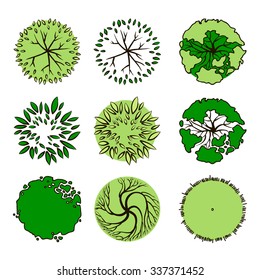 Trees Top View Vector Stock Vector (Royalty Free) 337371452