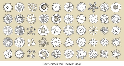 Trees top view. Vector set. Different plants and trees vector set for architectural or landscape design. (View from above) Nature green spaces. Tree set lines.