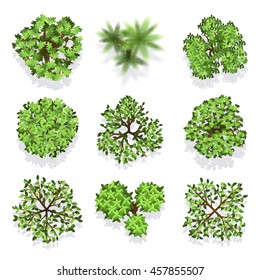 Trees top view vector set for landscape design and map. Green tree for garden