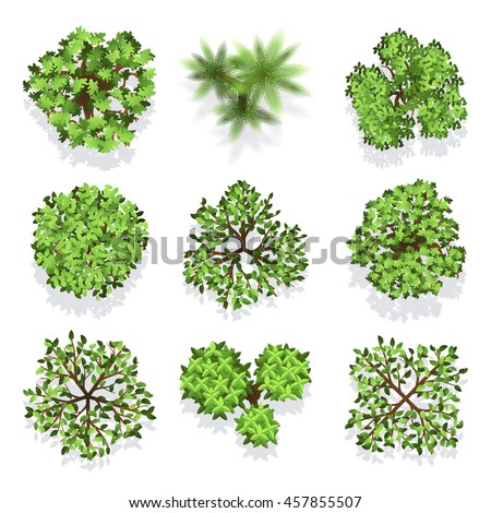 Similar – Image, Stock Photo Tree from above Plant