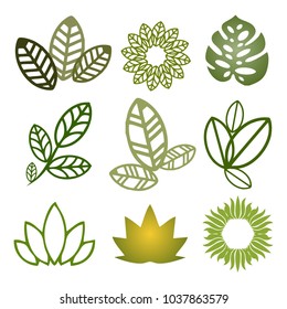 Trees top view.Different trees, plants vector set for architecture or landscape design.Landscaping symbols set isolated on white
