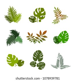 Trees top view.Different trees, plants vector set for architecture or landscape design.Landscaping symbols set isolated on white