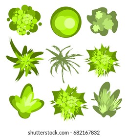 Trees top view.Different trees, plants vector set for architecture or landscape design.Landscaping symbols set isolated on white