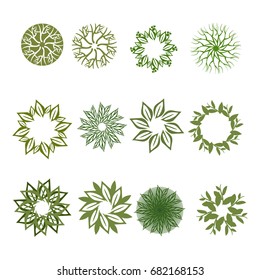 Trees top view.Different trees, plants vector set for architecture or landscape design.Landscaping symbols set isolated on white