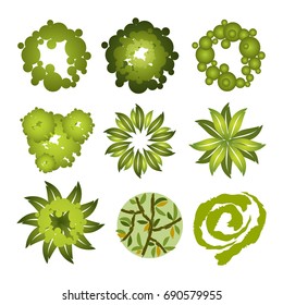 Trees top view.Different trees, plants vector set for architecture or landscape design.Landscaping symbols set isolated on white
