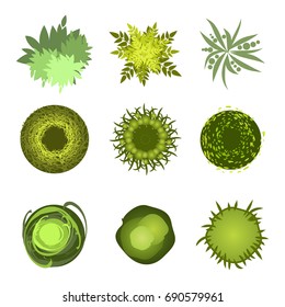 Trees top view.Different trees, plants vector set for architecture or landscape design.Landscaping symbols set isolated on white