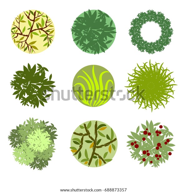 Trees Top Viewdifferent Trees Plants Vector Stock Vector (Royalty Free ...