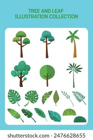 Trees and Tropical Plant Leaves - Various Forms of Illustration