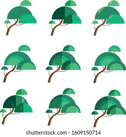 Trees with an unusual crown in different versions