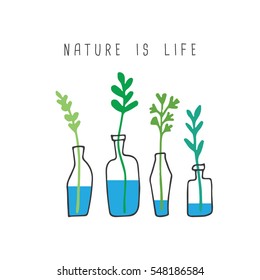 Trees in Vase Bottles, Nature Concept