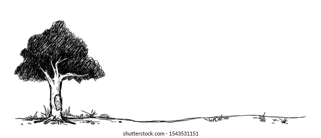 Trees and vast meadows separated on a white background.