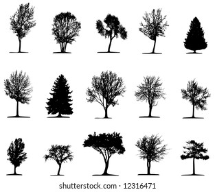 Trees (vector)