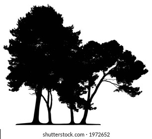 Trees (vector)