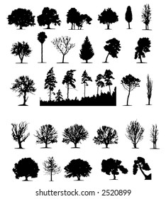 Trees (vector)