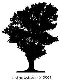 Trees (vector)