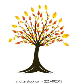 Trees vector. Autumn maple tree isolated.
