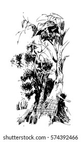 Trees, vector, black-and-white computer graphics, dragging a feather, the picturesque sketch, a background for wall-paper and for the press and on fabrics