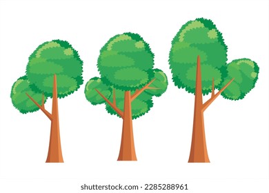 Ilustración vectorial de árboles. Colección de plantas. Planta verde aislada