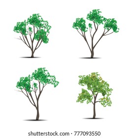 Trees Vector illustrator on background White color.